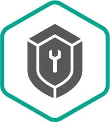 Расширенная техническая поддержка (сертификат на 1 год), Business