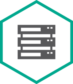 Kaspersky Security для систем хранения данных для серверов (продление лицензии), Версия на 2 года. Количество серверов